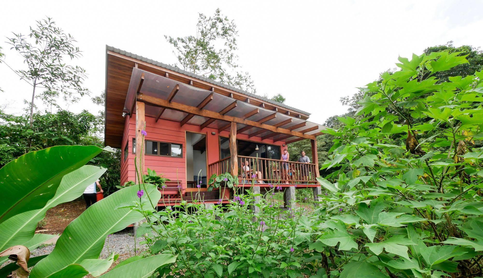 Casitas Tenorio B&B And Farm Bijagua Ngoại thất bức ảnh
